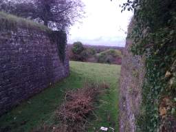 shannonbridge cap-1180.jpg